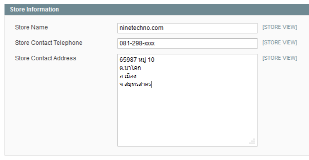 store information in magento